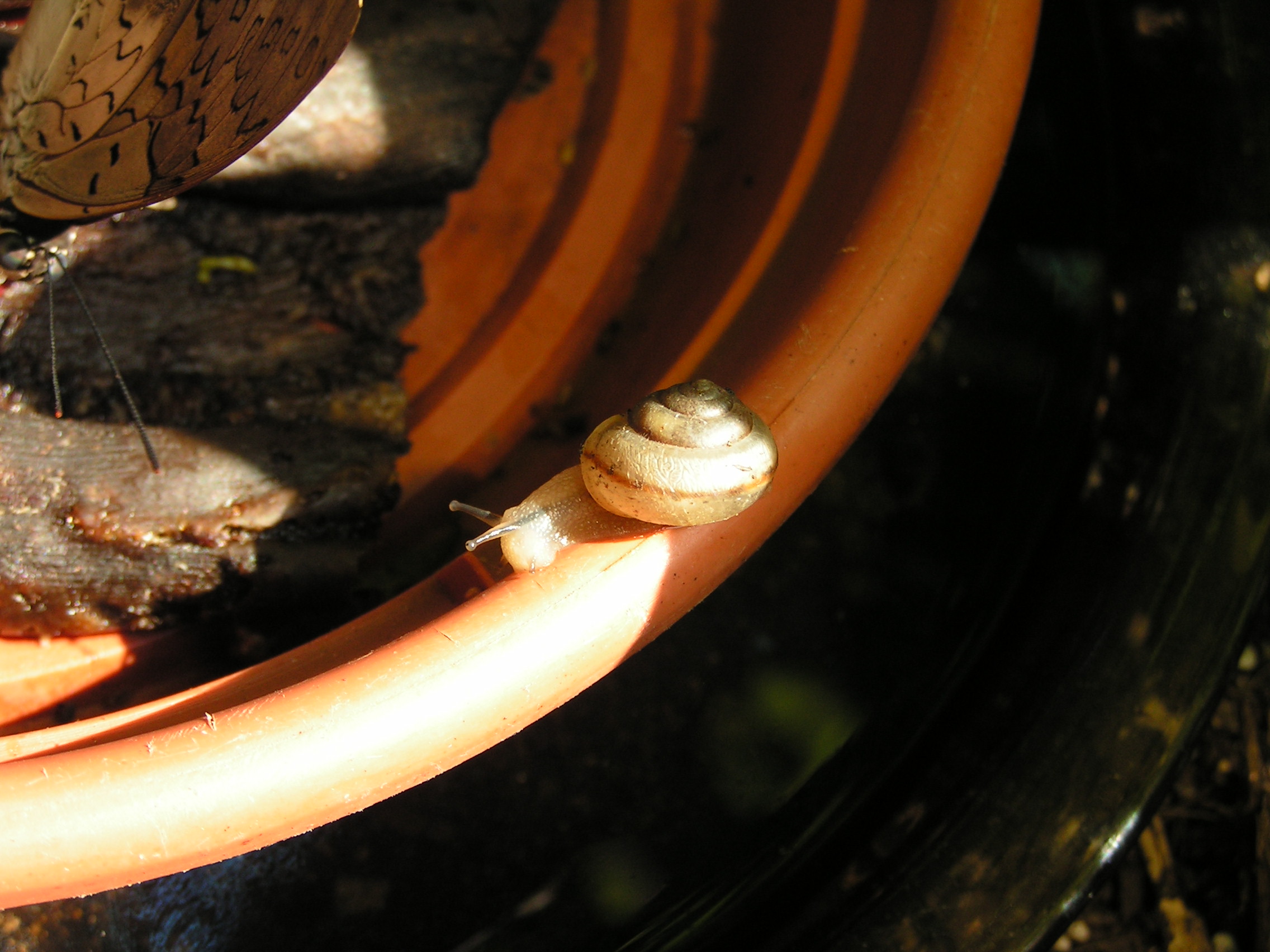 ./2006/Science Museum/SciencMusMonica 0030.JPG